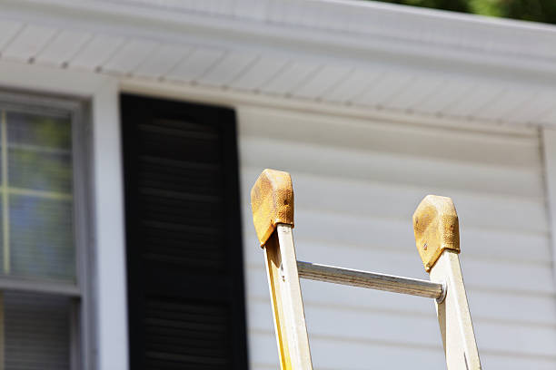 Best Historical Building Siding Restoration  in Holtville, CA